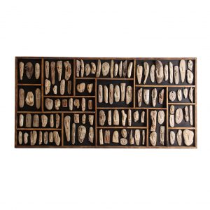 PANEL DECORATIVO FÓSILES PANEL DECORATIVO FÓSILES