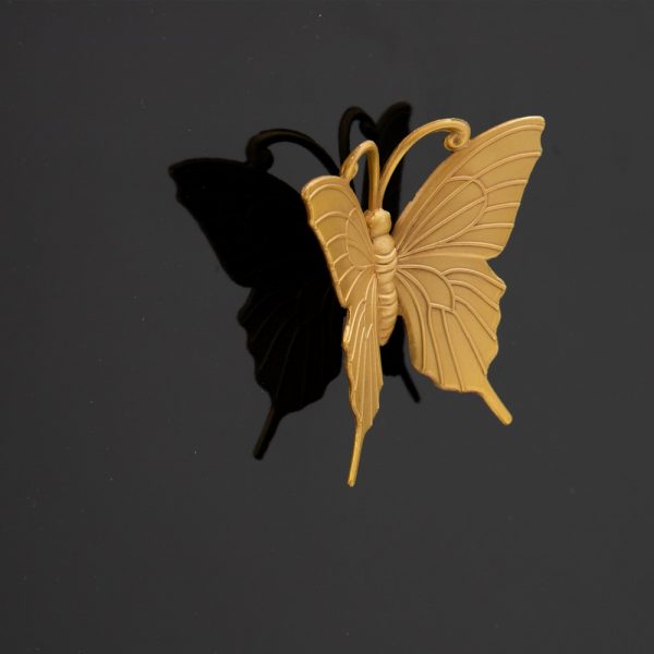 Armario “cabinet” mariposas