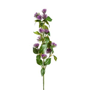 FLOR CENTAUREA FLOR CENTAUREA