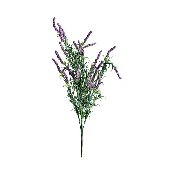 FLOR LAVANDA