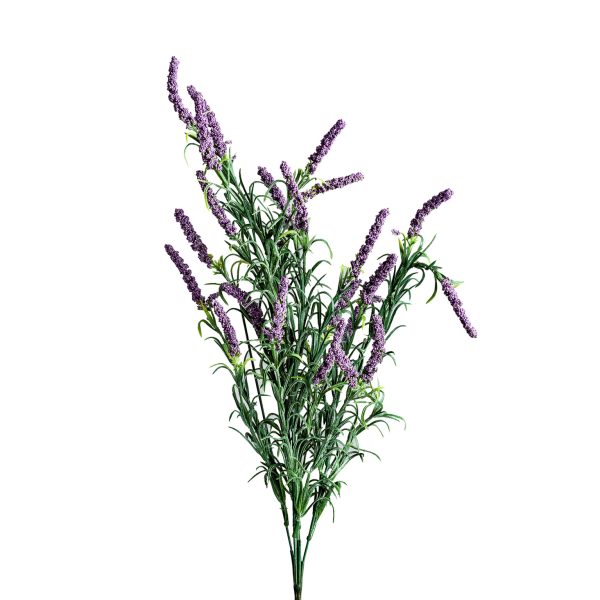 FLOR LAVANDA