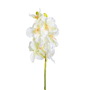 FLOR AZAHAR FLOR AZAHAR
