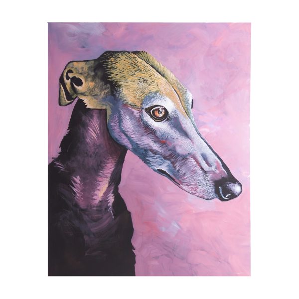 LIENZO GALGO