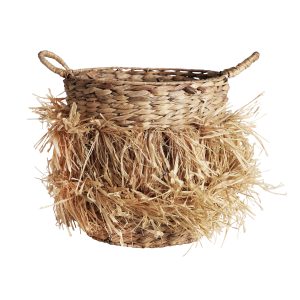 Cesto kasses Cesto kasses