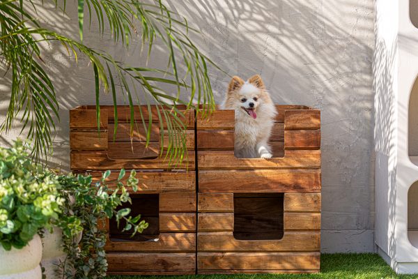 Caja mascotas akviran