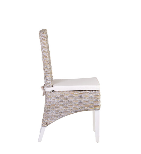 Silla rattan salsa con cojin 47*57*97