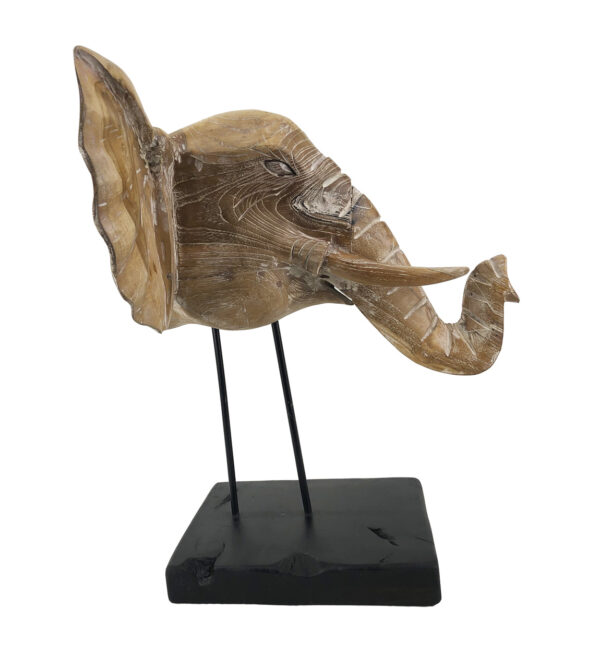 Cabeza elefante teka blanqueada 50*45*55