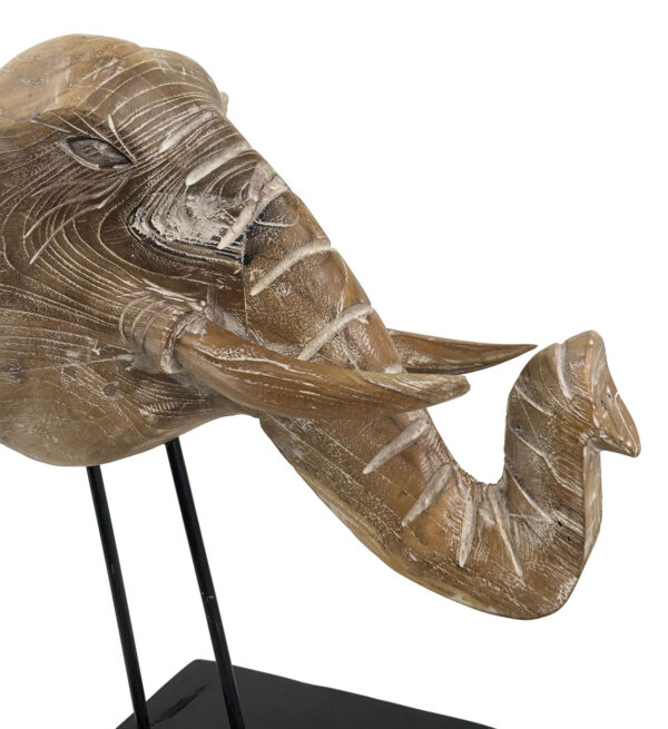 Cabeza elefante teka blanqueada 50*45*55