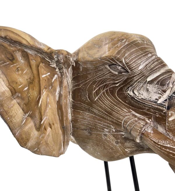 Cabeza elefante teka blanqueada 50*45*55