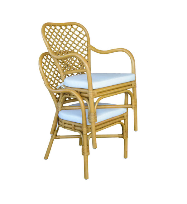 Sillón bistro rattan con cojín 56*64*95