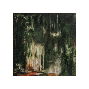 LIENZO ALERCE LIENZO ALERCE