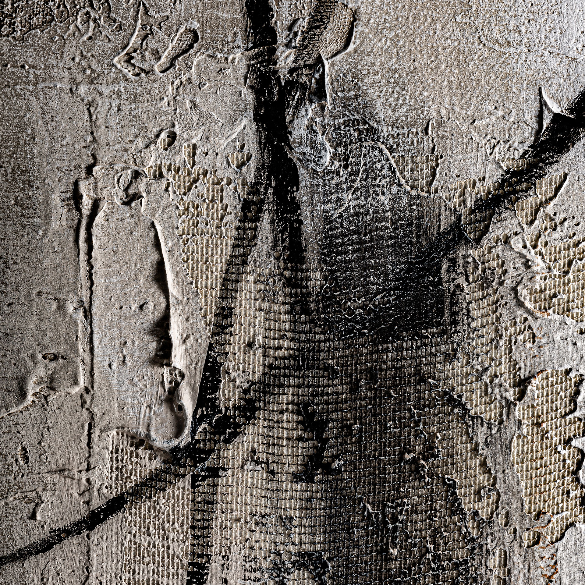 LIENZO ENVER LIENZO ENVER