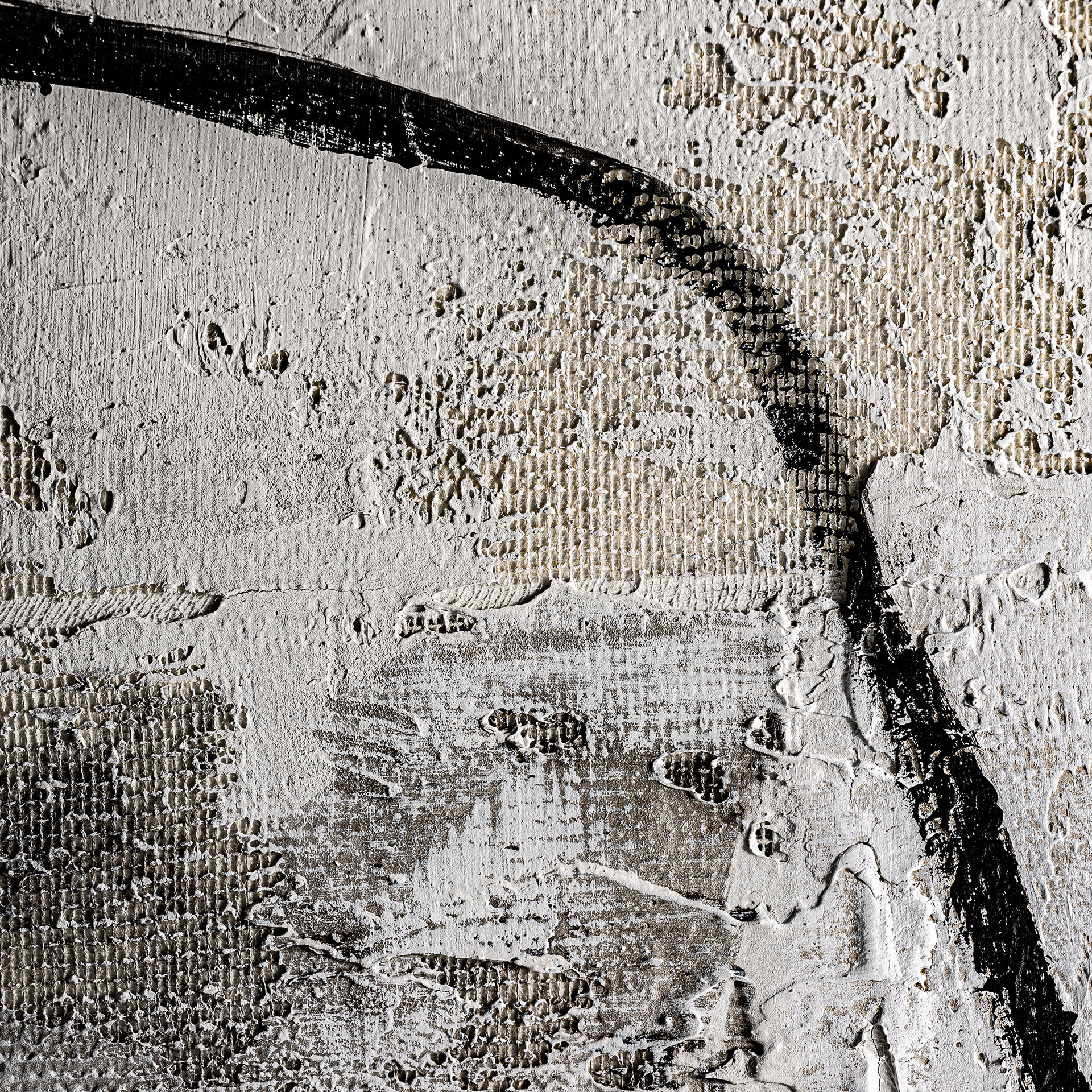 LIENZO ENVER LIENZO ENVER