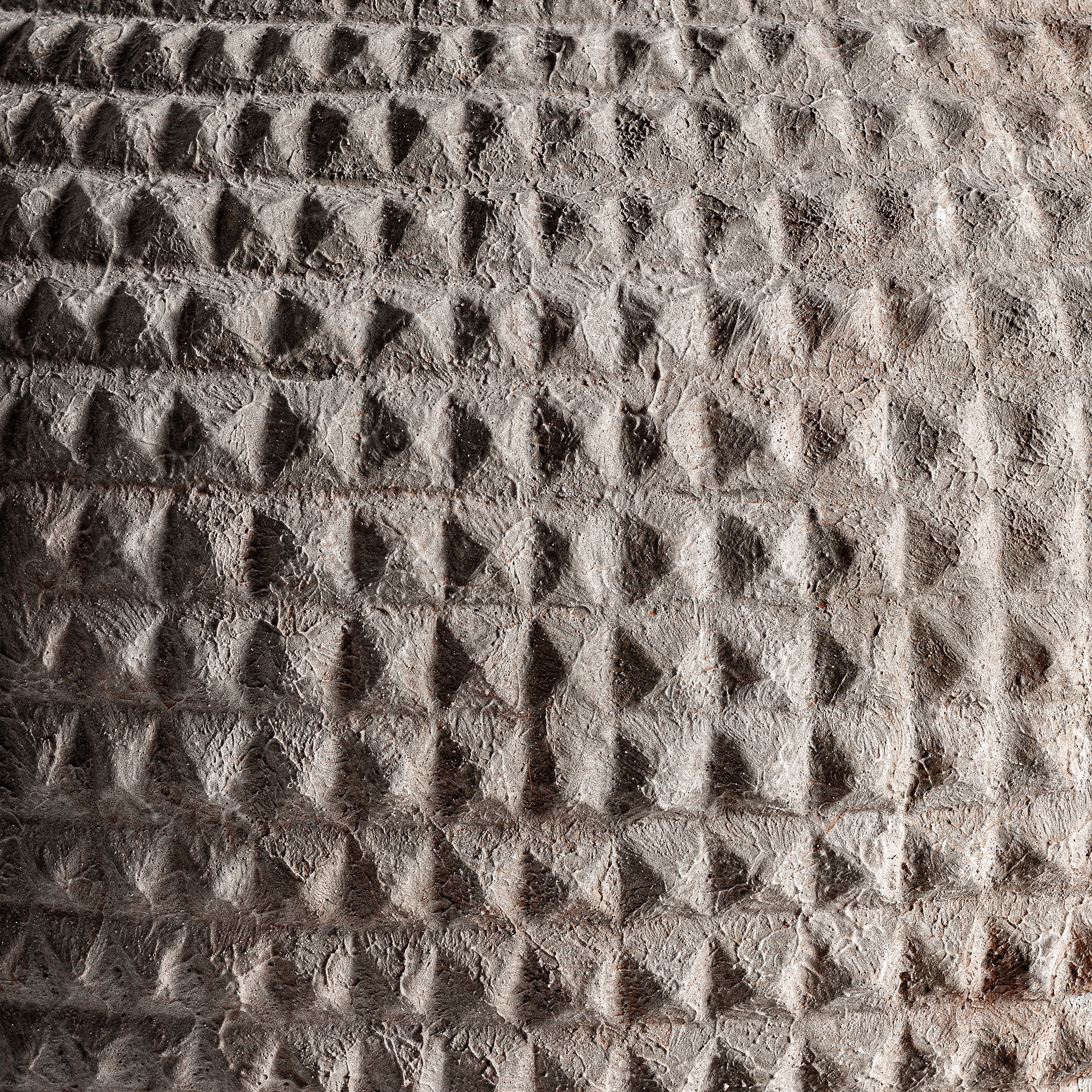 TINAJA DONIE TINAJA DONIE