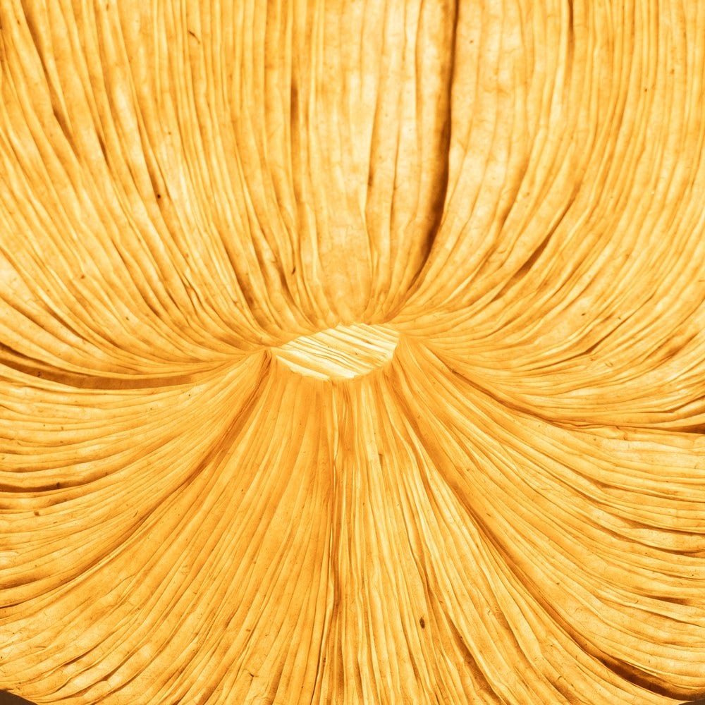 Lámpara Techo Beige Papel-Metal 49 X 49 X 40 Cm Lámpara Techo Beige Papel-Metal 49 X 49 X 40 Cm