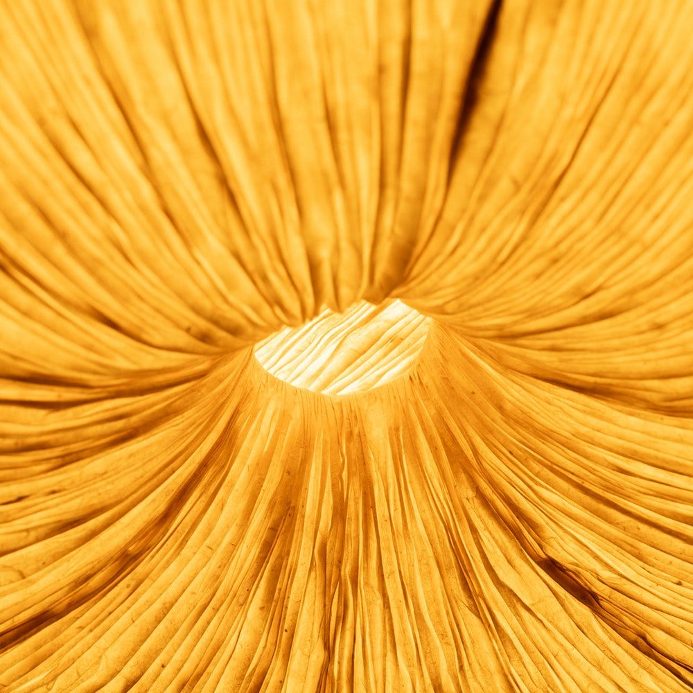 Lámpara Techo Beige Papel-Metal 62,50 X 62,50 X 20 Cm Lámpara Techo Beige Papel-Metal 62,50 X 62,50 X 20 Cm