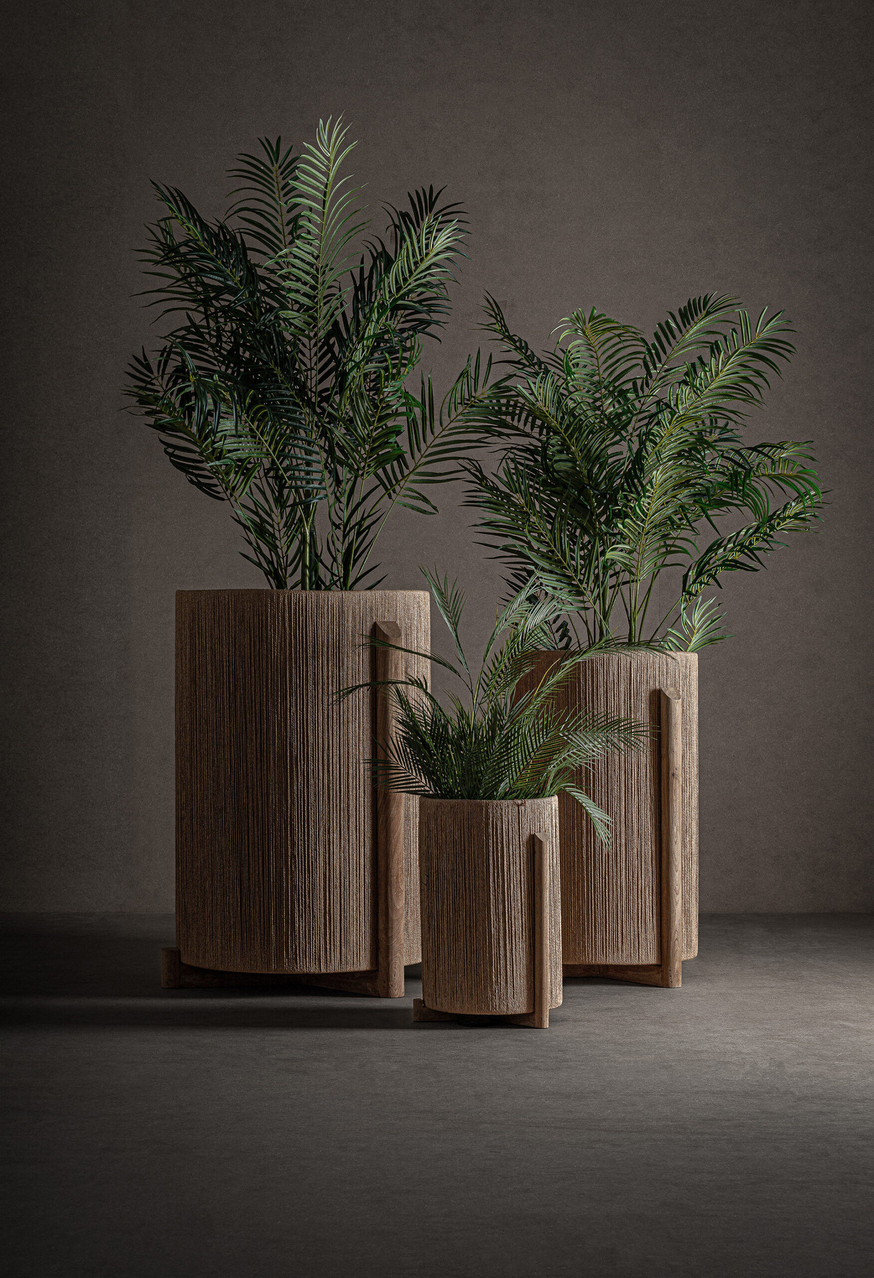 MACETERO JACQUARD MACETERO JACQUARD - Imagen 5