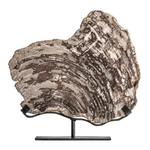 FIGURA DECORATIVA AUREA FIGURA DECORATIVA AUREA